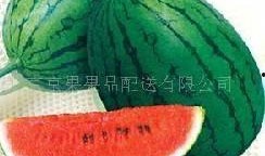 吃瓜网51官网版